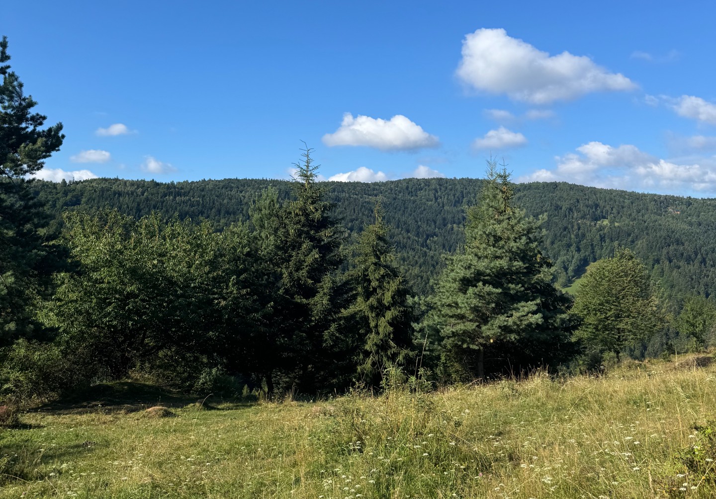 Eliasz&oacute;wka 1024 m n.p.m.